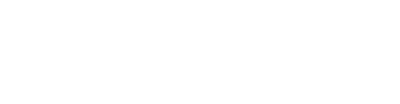 fantom foundation logo